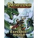 Pathfinder: Expertenregeln