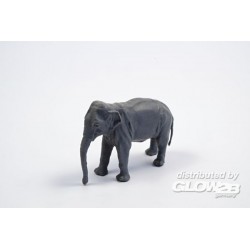 Asian Elephant (1 figure) 