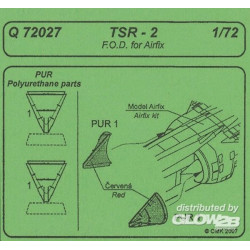 TSR-2 F.O.D. 