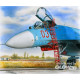 Ladder for Su-27 