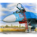 Ladder for Su-27 