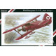 Polikarpov I-15 ''Red Army'' 