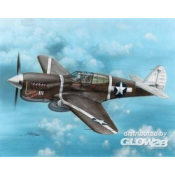 P-40F Warhawk "Guadalcanal Hawks" 