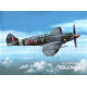 Spitfire F Mk 21 "Post WWII Service" 