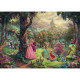 Puzzle 1000T Kinkade Disney Dornrös